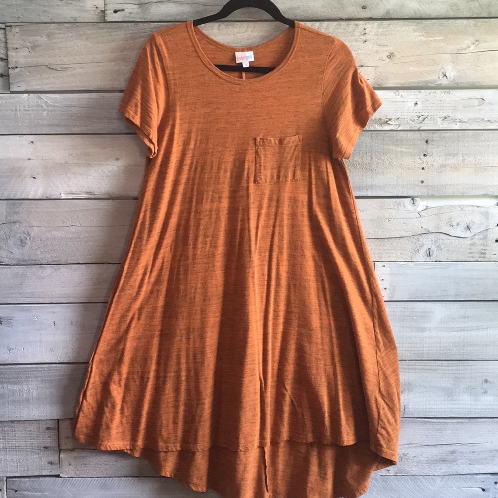 LuLaRoe Carly dress